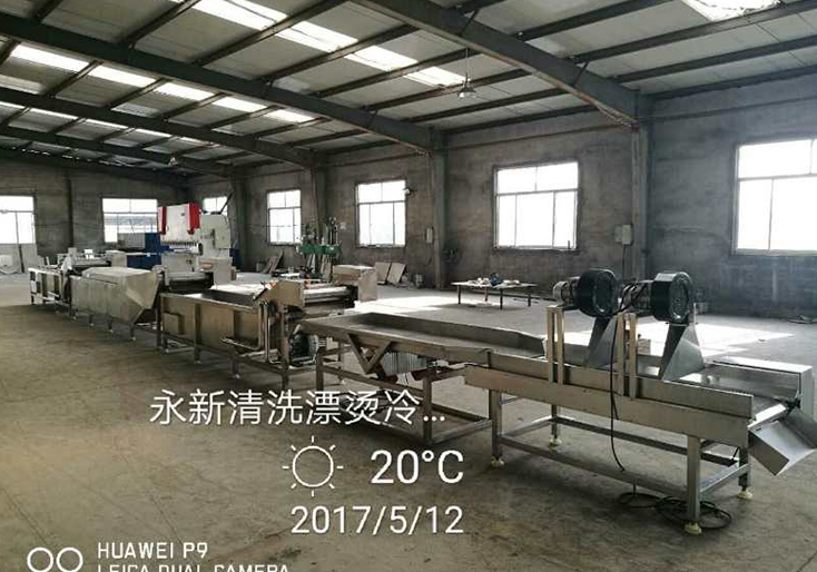 果蔬清洗漂燙加工線—Washing and blanching processing line for fruits and vegetables