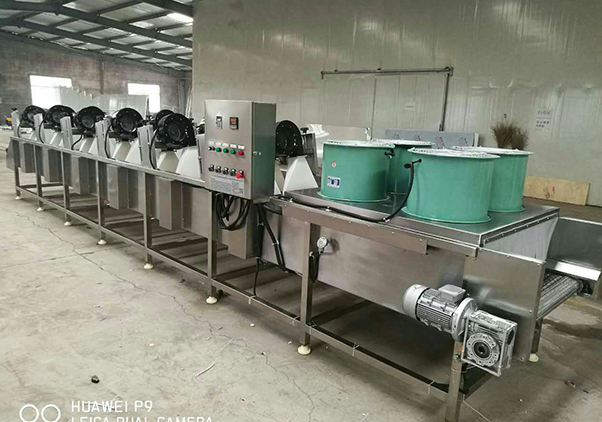 辣椒清洗風干流水線—Pepper cleaning and air drying line